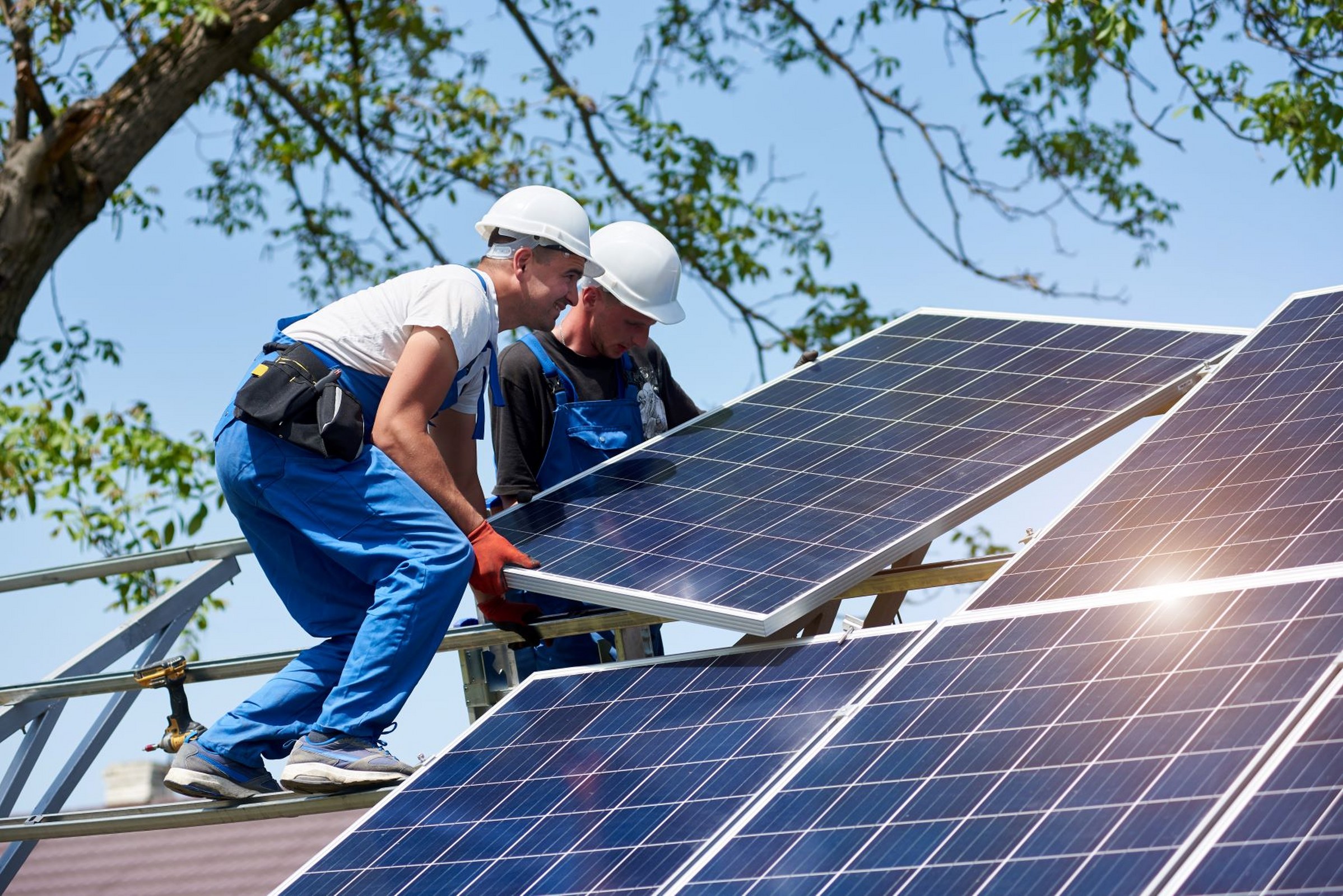 How to Grow Your Solar Business with Custom Lead Campaigns hero image