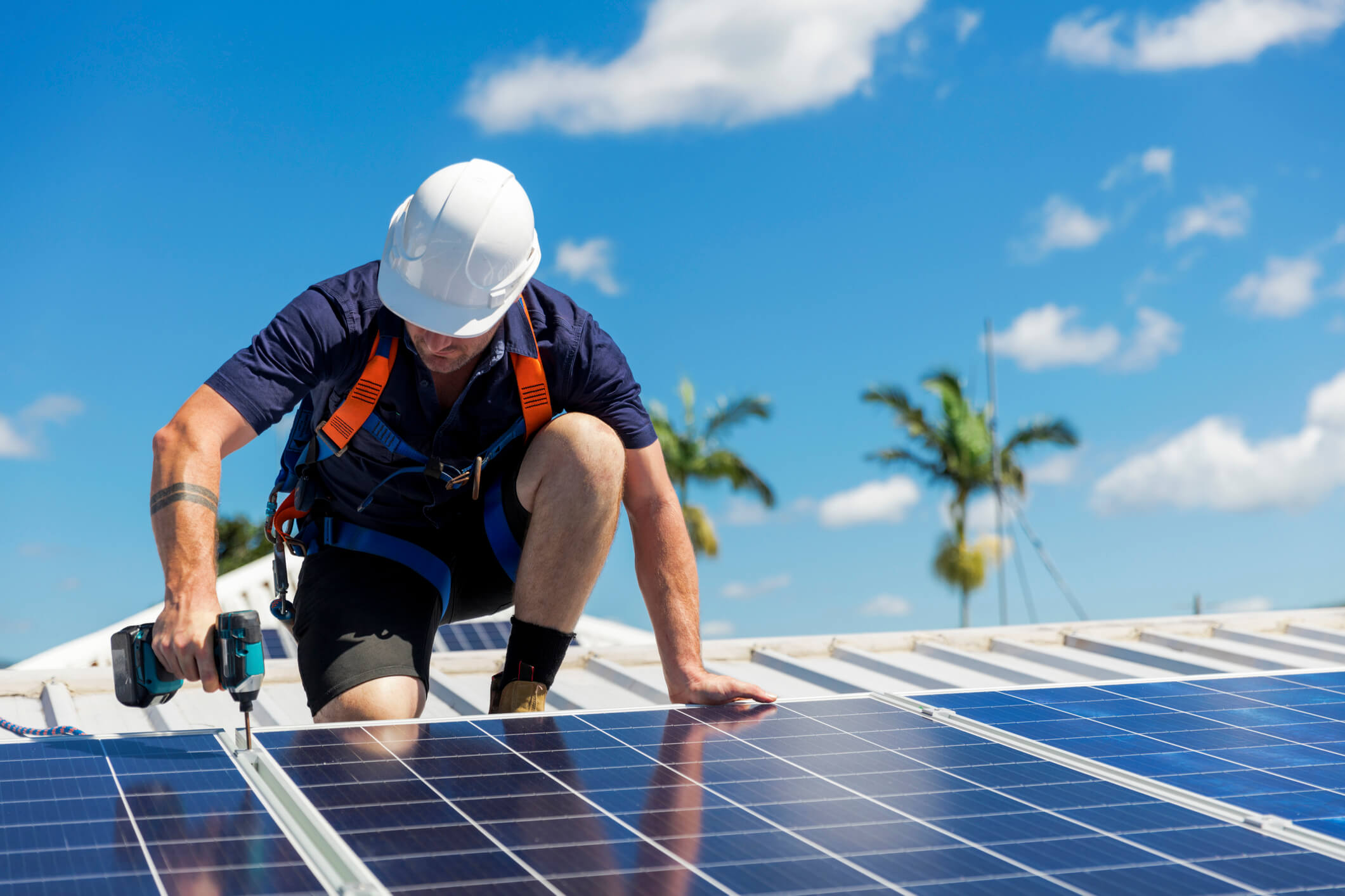 Maximize ROI: Choosing the Right Solar Lead Package for Your Business hero image